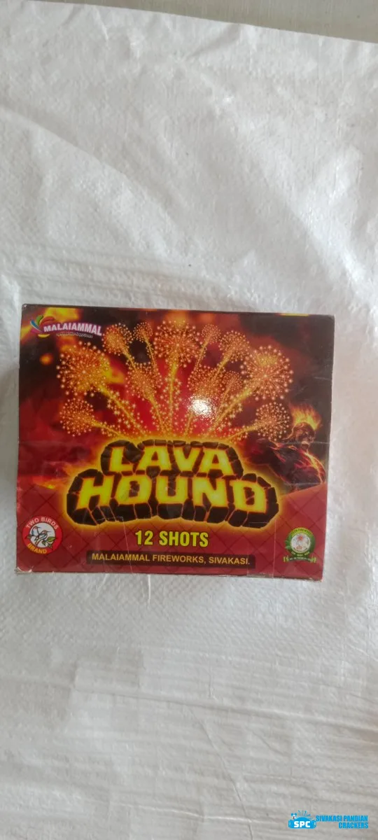 12 Shot Rider